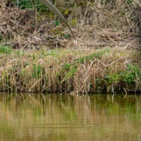 Guru Bobbie Carbon Pole Floats